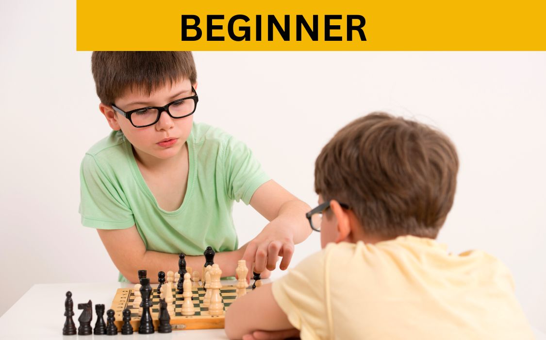 chess beginner classes for kids in Princetron